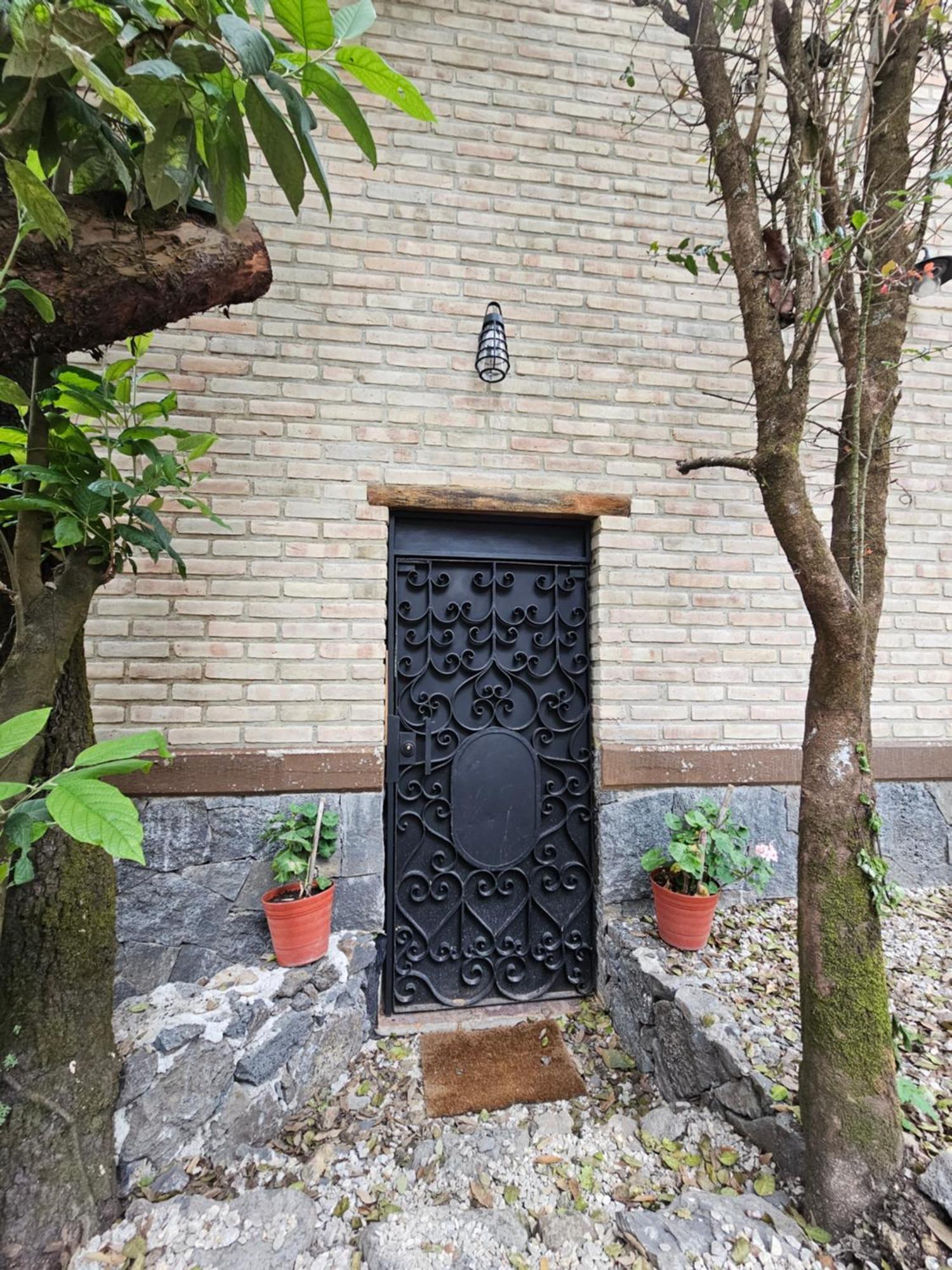 La Cabana Azul Al Fondo Del Bosque De Tepoztlán Exterior foto